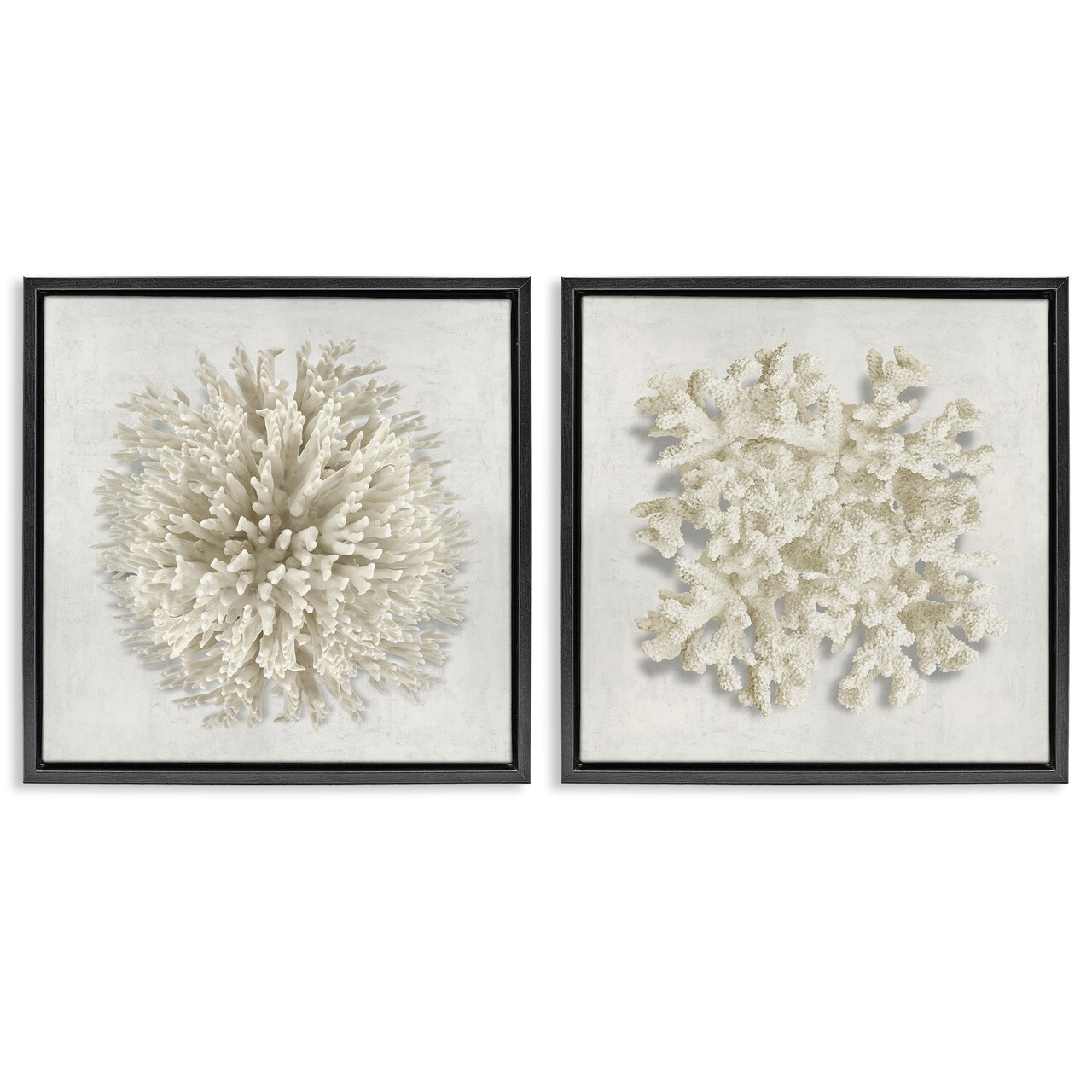 Stupell Industries Distinct Natural Coral 2pc Floating Frame Set Design by Caroline Kelly